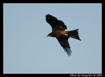 DSC_0850e