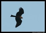 DSC_0858e