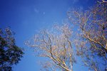 0630_Ricoh GR1V_RDP III