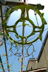 060131_028s