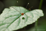 ����_080406_019s