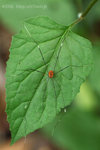 ����_080406_021s