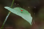 ����_080406_022s