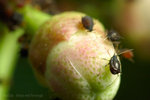�H��_080406_029s