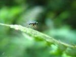 ���}�Ǭ�_040425_9448_PS