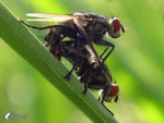 �Ǭ�_����_041003_07