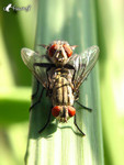 �Ǭ�_����_041003_08