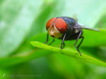 �Ǭ�_�j�Y�R��_041117_03
