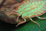 ��(��)�Ϭ�_050403_22