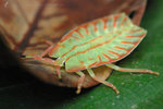 
��(��)�Ϭ�_050403_23