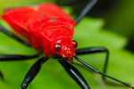 �z�H_080406_050s