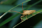 �z�H_080406_058s