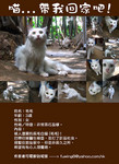
Momo Poster_800