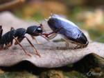 ��_040502_0440