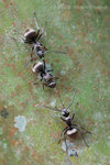 080406_027s