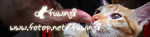 catbanner3