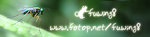 insectbanner2