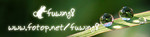 plantbanner2