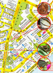 ButterflyMAP