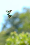 �C��_050724_30
