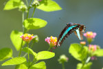 �C��_050724_31