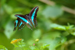 �C��_050724_32