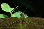 �ھ��A��_050805_41