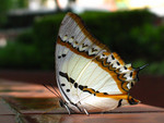 ���u���潺_030819_4274
