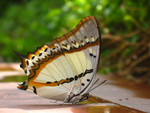 ���u���潺_030819_4275