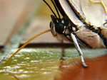 ���u���潺_030819_4276
