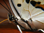 ���u���潺_030819_4281