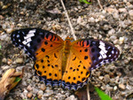 ���\�潺_�۽�_040520_19