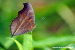 �����潺_061030s_27