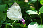 �F��毻��_030514_1991