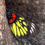 ���ߴ�����_040122_4775