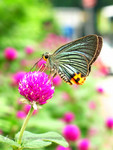 ��˽�_030821_4418