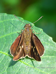 �˽�_031016_9270