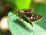 �˽�_031016_9271