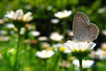 �ǽ�_040502_0029