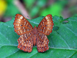 �i�ý�_040321_109