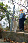 070401_cat_047