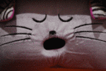 Cat In Cat