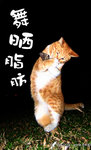 �R�ͯת�