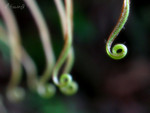 040425_9433_PS