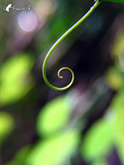 040502_0356