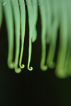 041022_05