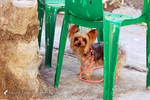 �n�X_050101_017