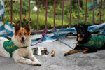 �n�X_050206_147