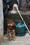 �U����_060304_68s