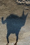 050101_111_crop